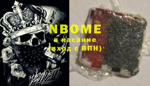 крисы Няндома