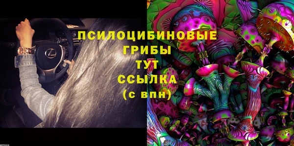 прущие грибы Осинники