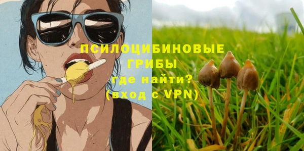 экстази Белокуриха
