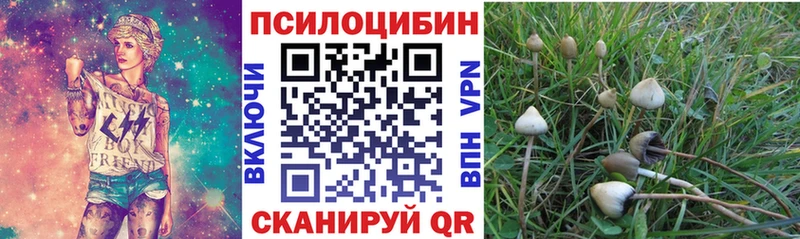 Псилоцибиновые грибы мухоморы omg как войти Северо-Курильск